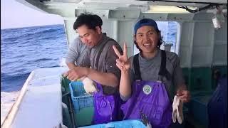 CARA KERJA DI KAPAL IKAN JEPANG