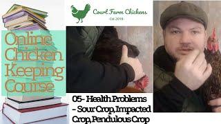 How To Treat Sour Crop, Impacted Crop and Pendulous Crop - Chicken Keeping Course part 5