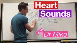Heart Sounds & Surface Anatomy | Cardiology