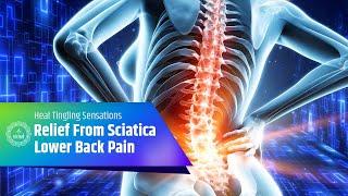 Relief From Sciatica Lower Back Pain - Heal Tingling Sensations - Strengthen Buttock Muscles