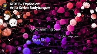 Nexus Expansion: Artist Series - Bodybangers