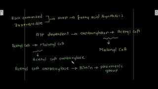 Biosynthesis of fatty acids, Synthesis of palmitic acid, Elongation of fatty acid