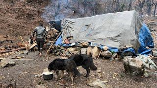 Most Enjoyable Mountain Village Life Nepal || The Shepherd Life During Rain || Winter Documentary.