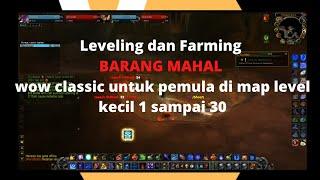 LEVELING DAN FARMING BARANG MAHAL WOW CLASSIC UNTUK PEMULA DI MAP LEVEL KECIL 1 SAMPAI 30