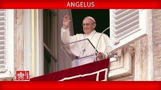 14. Juli 2019, Angelusgebet | Papst Franziskus