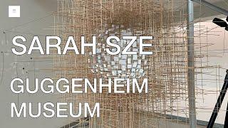 SARAH SZE: TIMELAPSE_GUGGENHEIM MUSEUM New York_July 2023 @ARTNYC