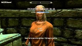 Skyrim How to use Trainers without using your money