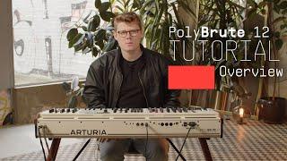 Tutorials | PolyBrute 12 - Overview