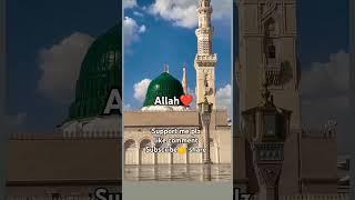 #Ab toh bs ek hi dhun hai#viral emotional#islamic#naat sharif#madina sharif video#youtube#shorts#