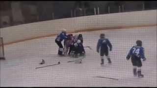 Russian Youth Hockey League - Benches Clearing Brawl