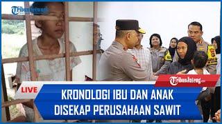  Kisah Pilu Ibu dan Anak Disekap Perusahaan Sawit Bangka 2 Bulan, Suami Dituduh Mencuri