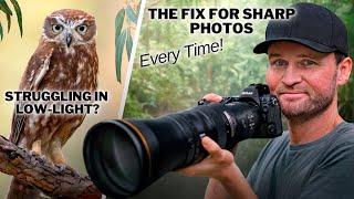 SHARP Photos in LOW LIGHT - What You Have been MISSING!