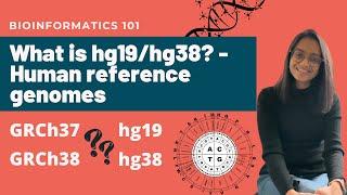 What is hg19/hg38? - All you need to know about human reference genomes | Bioinformatics 101