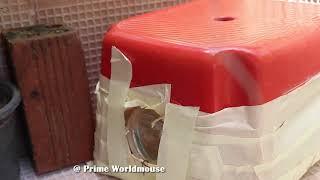 Make Rat Trap  At Home  By Using Plastic Seat -Easy  Mouse Trap/ Rat Trap