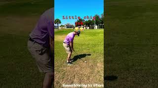 Chipping is fun #golf #shots #like #subscribe #funny