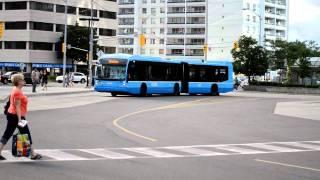 VIVA NovaBus LFX at Finch bus terminal.