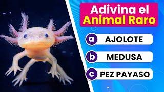 Adivina el Animal Extraño  | Test de 50 + 1 Animales | ¿Cuántos conoces ?