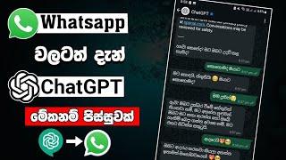 වට්සැප් වලටත් දැන් chatgpt | whatsapp chatgpt ai sinhala | chatgpt assignment sinhala