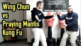 Wing Chun VS Praying Mantis Kung Fu - Breakdown & Comparison of Techniques