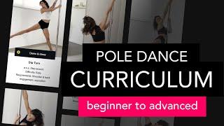 The Pole Curriculum – Your Pole Dance GUIDE from Beginner to Advanced Level