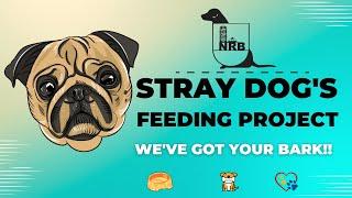 STRAY DOGS HAVE A RIGHT TO FOOD  @NRBKENYA