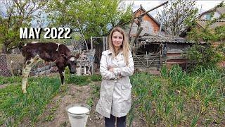 VILLAGE LIFE in UKRAINE, how people live 2022