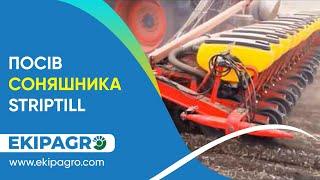 ПОСЕВ ПОДСОЛНЕЧНИКА STRIPTILL ПРИ ПОМОЩИ СЕЯЛКИ VADERSTAD