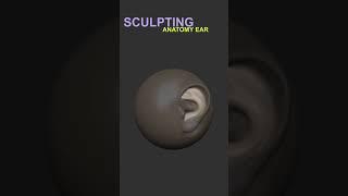 Master 3D Sculpting Anatomy | Create a Stylized Ear for a Character in ZBrush