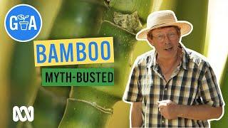 Everything Bamboo! | Discovery | Gardening Australia