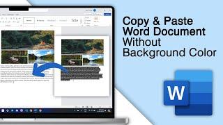 How To Remove Background Color From Copy Pasted Text In Word! [3 Solutions]