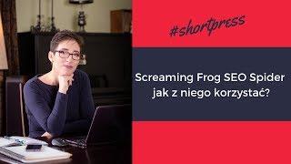 Screaming frog SEO spider - jak z niego korzystać?