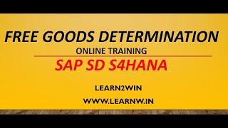 free goods determination sap sd s4hana | sap sd online training | business process sap sd s4hana