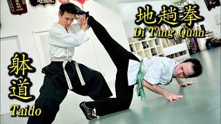 هجوم مفاجئ! "Taido" و "Di Tang Quan". تقوى عندما تستلقي على الأرض!