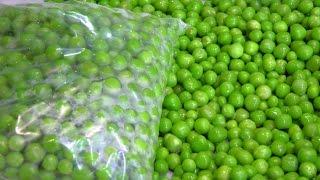 How to store Green Peas| Preserve Green Peas | Frozen Peas| Frozen Matar | फ्रोजन मटर