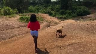 African village girl slaughtering sheep for food part one