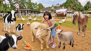 Kasih Makan Domba, Sapi, Naik Kuda dan Kasih Makan Burung Dara - Mengenal Binatang