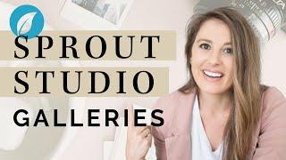 Why I Chose Sprout Studio | Galleries