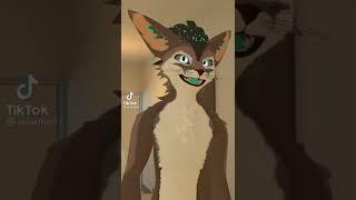 Furry TikTok Memes! #30