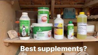 What Racing Pigeon Supplements Are The Best For us