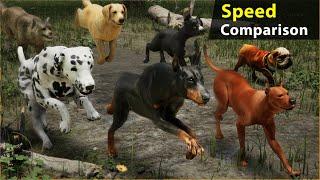 Dogs Running speed comparison | World fastest dog speed? | 4k
