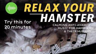 Music For Hamsters: Relaxing & Soothing (Calm Your Hampter in 20 Min)