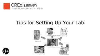 Tips for Setting Up Your Lab: Building Your Research Career