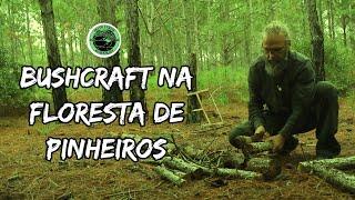 BUSHCRAFT NA FLORESTA / PRATICANDO ENTALHE