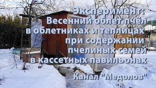 Эксперимент:  Весенний облет пчёл в облетниках и теплицах. Пчёлы в кассетных павильонах