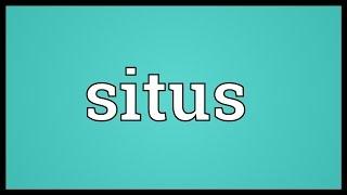 Situs Meaning