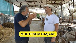 EMEKLİ İNŞAATÇININ MUHTEŞEM BAŞARISI (Merinolandschaf Irkını Seviyor)