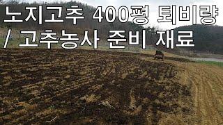 노지고추 400평에 준비해야할 퇴비량 / 3월말에 고추농사를 위해 준비해야할 재료에 대해 알려드리겠습니다. [농사의신] / Red Pepper Farming Materials