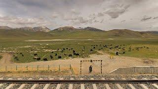 छिनघाई-तिब्बत रेलवे परियोजना—[Qinghai-Tibet Railway project]—Hindi Documentary