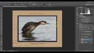 Use Photoshop to put a digital frame (mat) around your photos