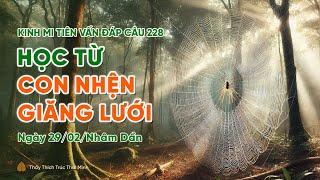 Học từ con nhện giăng lưới | Kinh Mi Tiên Vấn Đáp câu 228 | Thầy Thích Trúc Thái Minh